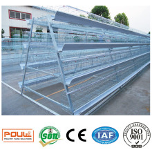 Poultry Farm Battery Cage Project